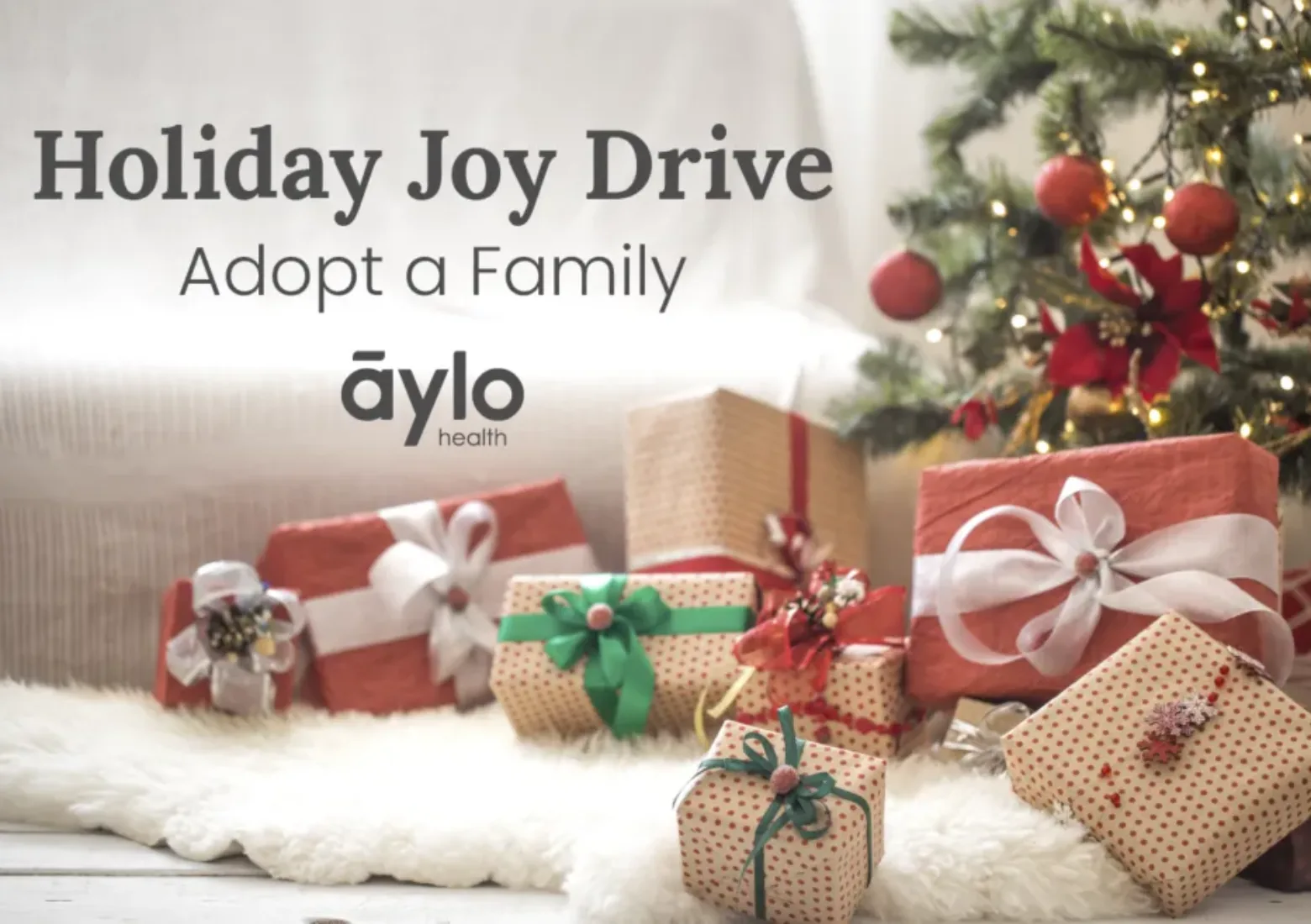 Aylo-Health-Gives-Back-This-Season-Through-Holiday-Joy-Drive_