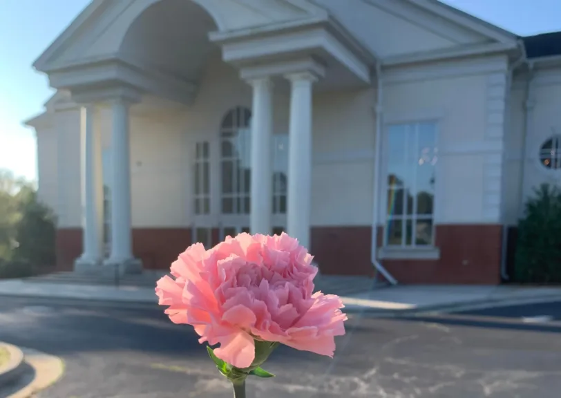 Pink carnation flower in front of Stockbridge First United Methodist Church